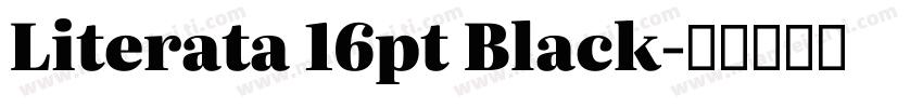 Literata 16pt Black字体转换